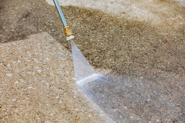 Best Animal Enclosure Cleaning  in Grand Coulee, WA